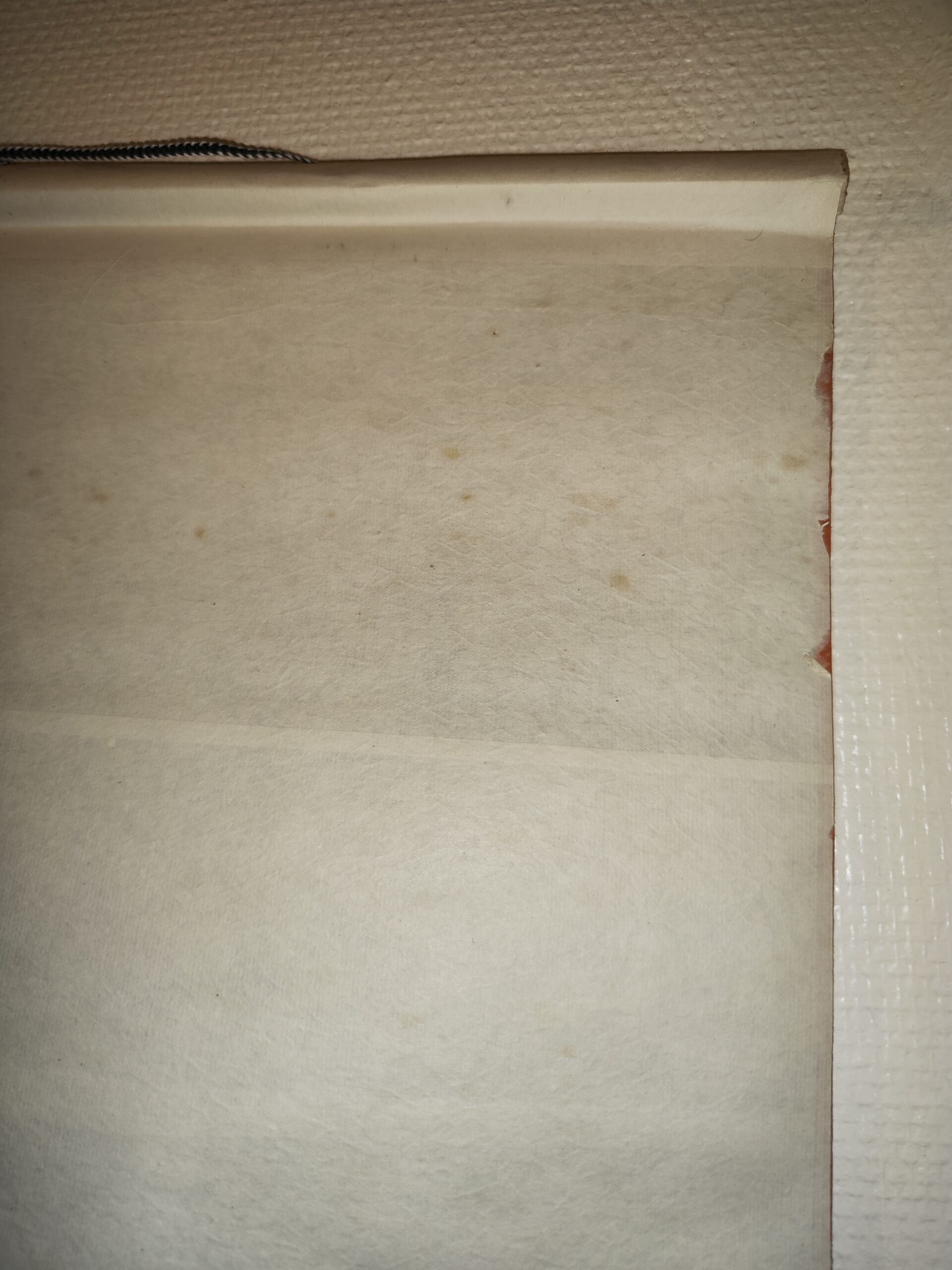 Kakemono Japonais ancien (rouleau suspendu) – Image 7