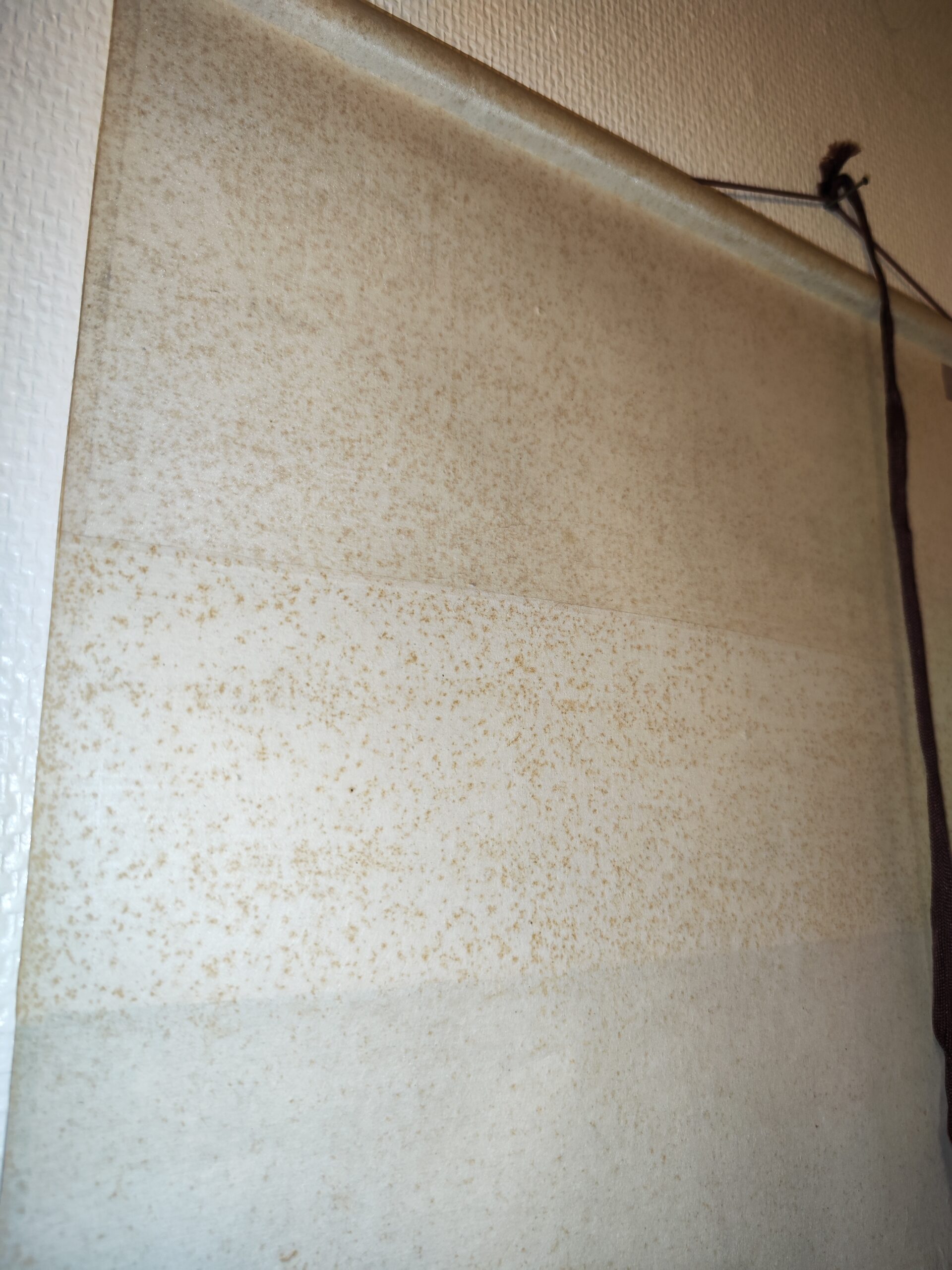 Kakemono japonais ancien (rouleau suspendu) – Image 3