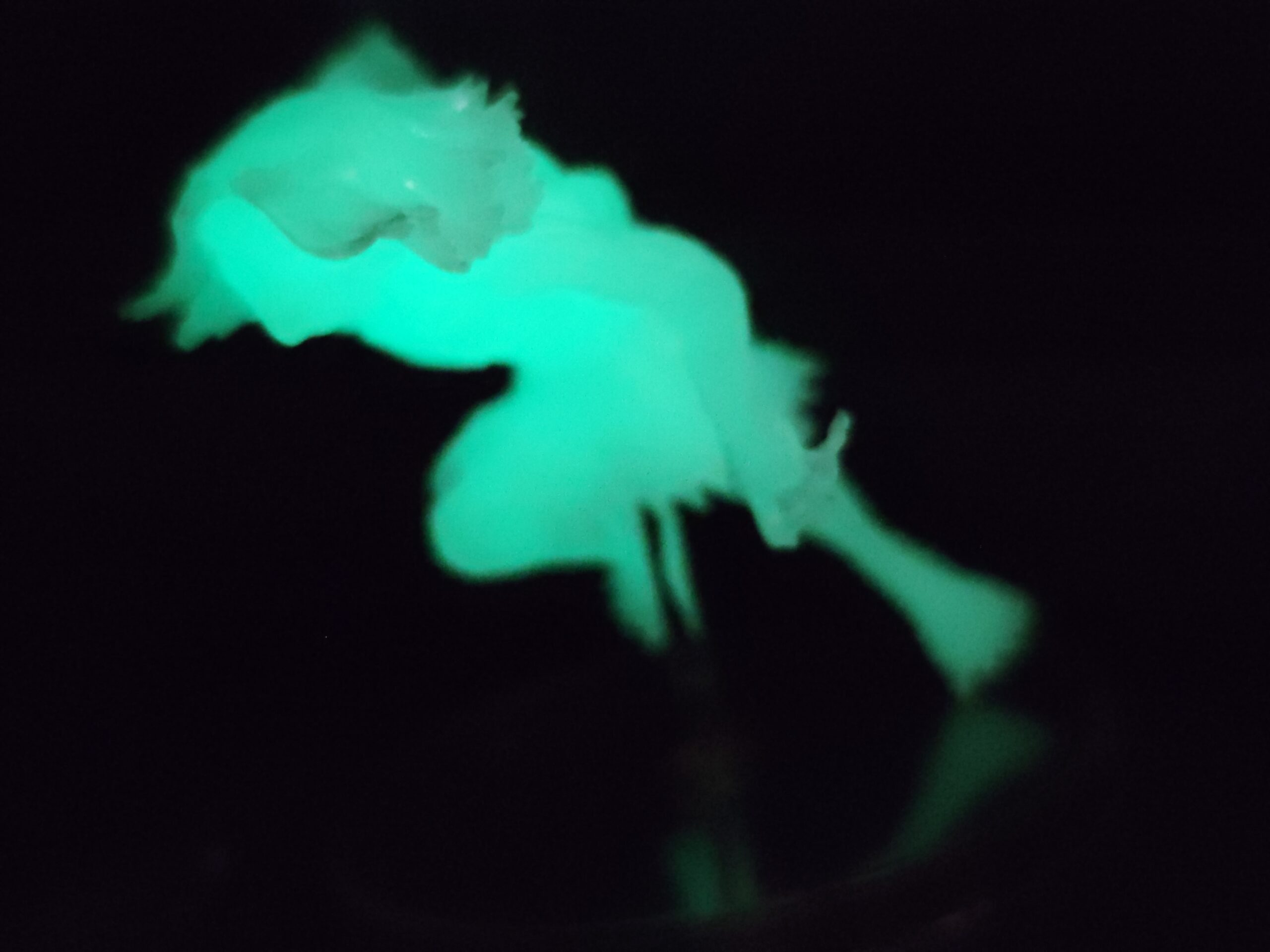 Figurine Gachapon – Kappa phosphorescent – Image 5