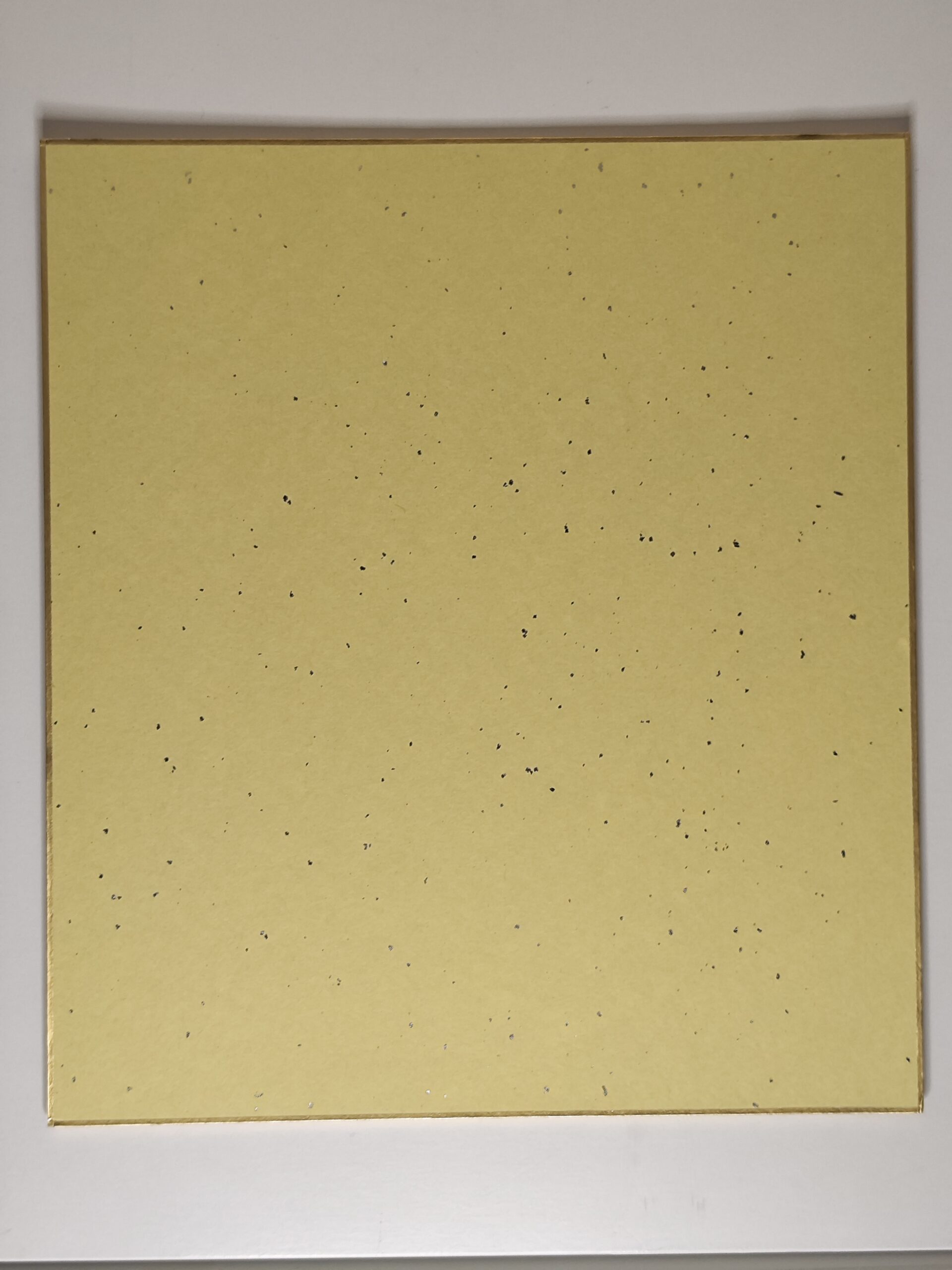 Shikishi japonais – Mont Fuji rouge et grues en vol – Image 3