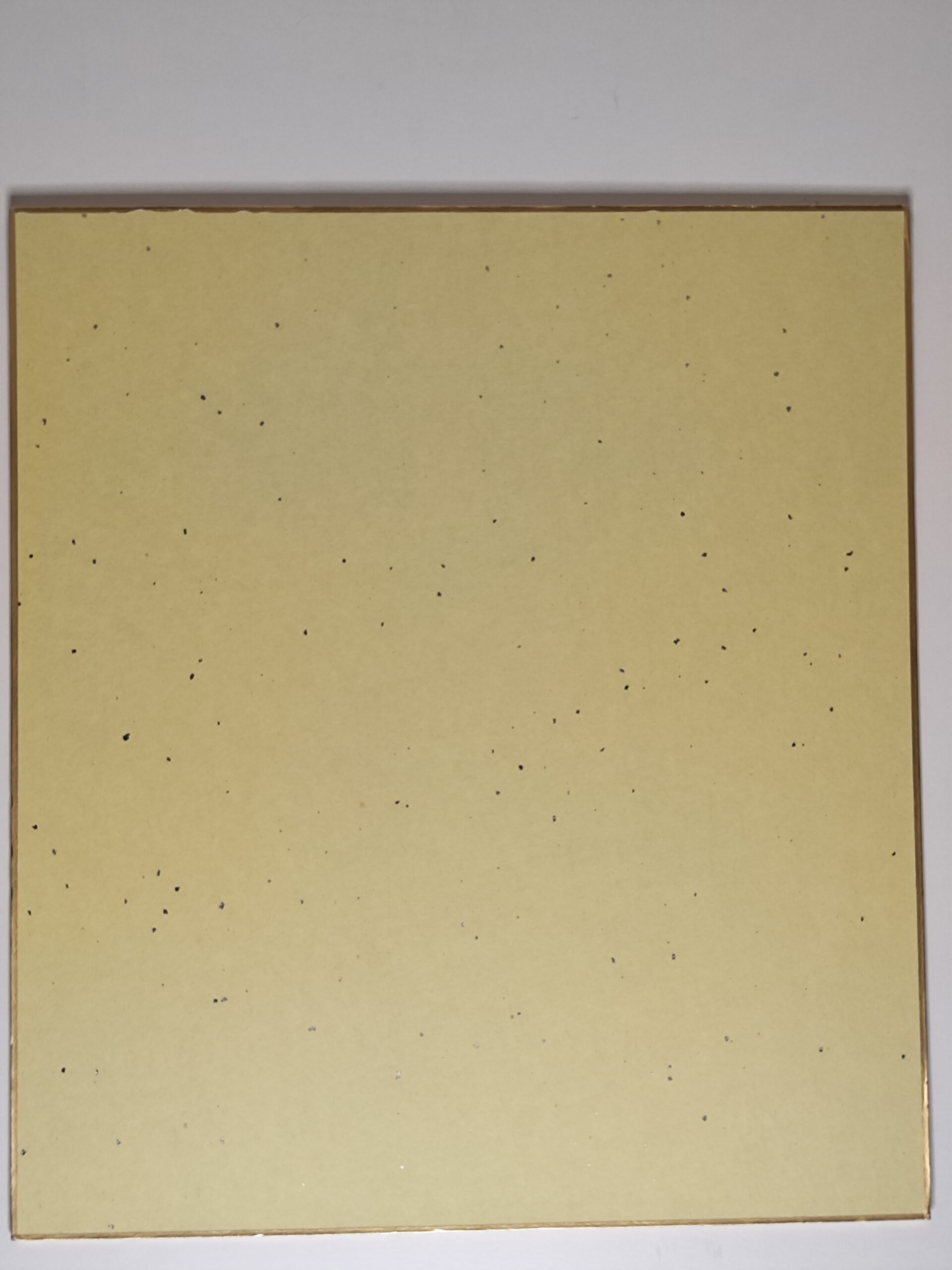 Shikishi japonais – Grues et soleil levant, calligraphie – Image 3